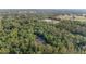 Expansive estate nestled within lush trees boasts a private pool, long driveway, and inviting facade at 1251 Sw 43Rd Pl, Ocala, FL 34471