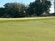View of the golf green featuring lush green grass, a flag, and mature trees at 16751 Se 84Th Colerain Cir, The Villages, FL 32162