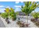 Landscaped backyard with gravel and white rock beds, trees, plants and screened-in patio at 10293 Sw 96Th Ln, Ocala, FL 34481