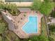 Aerial view showcasing a uniquely shaped pool with ample seating and lounge areas at 113 Weeping Elm Ln, Longwood, FL 32779
