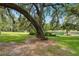 Beautiful park scenery featuring large trees with moss and a glimpse of the lake at 113 Weeping Elm Ln, Longwood, FL 32779