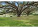Scenic view of a community park with mature trees and relaxing bench seating at 113 Weeping Elm Ln, Longwood, FL 32779