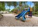 Community playground featuring a large blue slide and various play structures at 113 Weeping Elm Ln, Longwood, FL 32779