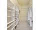 Walk-in closet featuring carpeted floors and installed shelving at 17536 Se 119Th Cir, Summerfield, FL 34491