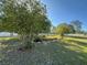 Lush backyard with a green lawn and a white fence running the length of the property at 1961 Sw 170Th Loop, Ocala, FL 34473