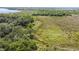 Vast landscape of undeveloped land with lush greenery at 3360 Se 183Rd Avenue Rd, Ocklawaha, FL 32179