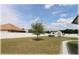 Fenced back yard with outbuilding, young shade tree, and manicured lawn at 6365 Se 12Th Ln, Ocala, FL 34472