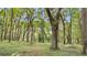 Lush landscaping featuring trees and natural vegetation at 6700 Nw 57Th Ave, Ocala, FL 34482