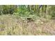 Picnic table hidden in tall grass at 6700 Nw 57Th Ave, Ocala, FL 34482