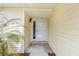 Inviting entryway with a white door and palm tree providing natural beauty at 11153 Sw 79Th Ave, Ocala, FL 34476