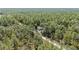 Aerial view of home surrounded by forest, showing home's privacy and location at 13164 Sw 78Th Place, Dunnellon, FL 34432