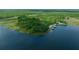 Lushly forested property on a body of water with docks visible in aerial view at 14190 Ne 209Th Ct, Fort Mc Coy, FL 32134
