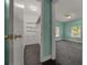 View from large walk in closet to light blue bedroom with carpet and multiple windows for natural light at 14190 Ne 209Th Ct, Fort Mc Coy, FL 32134