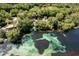 Beautiful aerial shot of the property with waterfront and lush green surroundings at 21939 Sw 85Th Loop, Dunnellon, FL 34431