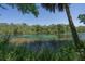 Scenic view of a clear, spring-fed lake surrounded by lush green vegetation and trees at 21939 Sw 85Th Loop, Dunnellon, FL 34431