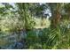 Tranquil lake view reflecting lush greenery, showcasing serene waters and natural beauty at 21939 Sw 85Th Loop, Dunnellon, FL 34431