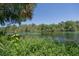 Picturesque lake view with crystal waters framed by tropical trees and lush wetland grasses at 21939 Sw 85Th Loop, Dunnellon, FL 34431
