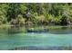 Two people enjoy canoeing in the clear water of a river surrounded by lush trees at 21939 Sw 85Th Loop, Dunnellon, FL 34431