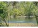 Scenic view of the waterfront area surrounded by lush greenery and natural landscape at 21939 Sw 85Th Loop, Dunnellon, FL 34431