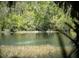 Peaceful view of the waterfront surrounded by trees and natural vegetation at 21939 Sw 85Th Loop, Dunnellon, FL 34431