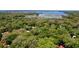 Lush aerial view of wooded property near the water, providing a serene natural backdrop for a lakeside retreat at 25292 Ne 132Nd Ln, Fort Mc Coy, FL 32134