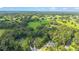 Stunning aerial view of the property showcasing its vast green surroundings with mature trees and other gorgeous homes nearby at 733 Se 67Th Ln, Ocala, FL 34480