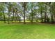 Lush green lawn in the backyard with mature trees and abundant space for recreation and relaxation at 733 Se 67Th Ln, Ocala, FL 34480