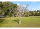 A flowering tree adds beauty to the green yard space at 9900 Ne 20 Terrace Rd, Anthony, FL 32617