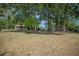 Large backyard featuring mature shade trees and chain link fencing at 164 Ne 53Rd St, Ocala, FL 34479