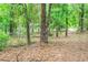 A lot with natural woods that make the perfect place for walks and outdoor adventures at 7407 Sw 202 Ct, Dunnellon, FL 34431