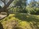 Expansive backyard featuring mature trees and a lush lawn, offering privacy and space at 9915 Sw 47Th Ave, Ocala, FL 34476