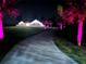 Night time image of the house with striking pink landscape lighting at 9950 Nw 11Th Ter, Ocala, FL 34475