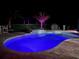 Night view of sparkling pool with colored lights and tropical landscaping enhances the outdoor space at 9950 Nw 11Th Ter, Ocala, FL 34475