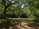 Serene wooded view of a shaded ground covered with leaves and encircled by mature trees at 11420 Nw 110Th Ave, Reddick, FL 32686