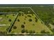 Aerial view showcasing a large plot of land with grassy areas and scattered trees at 11420 Nw 110Th Ave, Reddick, FL 32686
