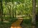 Wooden walkway in a lush, sun-dappled forest setting, promoting a sense of nature and tranquility at 11420 Nw 110Th Ave, Reddick, FL 32686