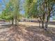 Spacious backyard featuring mature trees, tire swing, and well-maintained landscaping in a fully fenced yard at 14978 Sw 46Th Cir, Ocala, FL 34473