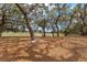 Spacious backyard with majestic trees offering shade and scenic views of the tranquil lake and natural beauty at 18027 Se 90Th St, Ocklawaha, FL 32179