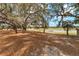 Expansive backyard with mature trees and a serene waterfront view creates a tranquil and private outdoor space at 18027 Se 90Th St, Ocklawaha, FL 32179
