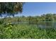 Scenic river view with lush green surroundings and clear blue sky, creating a tranquil outdoor space at 20364 Sw 86Th Loop, Dunnellon, FL 34431