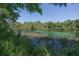 Scenic waterfront view with lush green foliage and crystal-clear blue water at 20364 Sw 86Th Loop, Dunnellon, FL 34431
