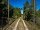 Long, private driveway leading through lush greenery to a secluded property at 23800 Ne 190Th St, Fort Mc Coy, FL 32134