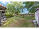 Expansive backyard featuring a large tree, lush green grass, and a wooden fence for added privacy at 5720 Se 22Nd Pl, Ocala, FL 34480