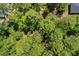 Lush green trees surround a beautiful property, offering privacy and a tranquil setting at 6840 Sw 198Th Ave, Dunnellon, FL 34431