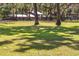 Gorgeous backyard features a fenced yard with lush green grass and mature trees at 8630 Sw 20Th Ct, Ocala, FL 34476