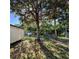 Backyard with a shed and chain link fence beneath mature shade tree and leaves on the ground at 910 Ne 11Th Ave, Ocala, FL 34470