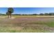 Expansive golf course view with palm trees and sand traps offering a serene, resort-style living environment at 9443 Sw 71St Loop, Ocala, FL 34481