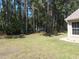 Green backyard featuring tall, mature trees creating a serene and private outdoor space at 11653 Sw 72Nd Cir, Ocala, FL 34476
