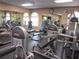 Well-equipped fitness center with modern exercise machines and mirrors for a comprehensive workout experience at 12002 Sw 137Th Loop, Dunnellon, FL 34432