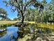 Scenic pond with trees, grass, and a reflection of the landscape in the water at 1711 Sw 63Rd St Rd, Ocala, FL 34476